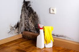 Best Mold Odor Removal Services in Fairmount, NY